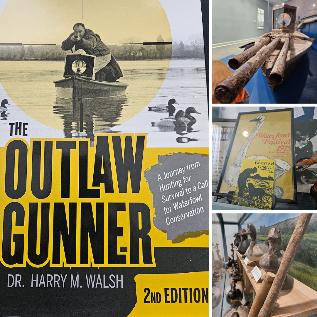 Outlaw Gunner Exhibit - Talbot Historical Society