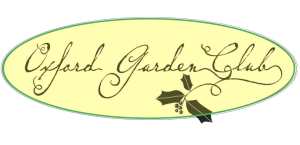 Logo1-300x145_Oxford Garden Club